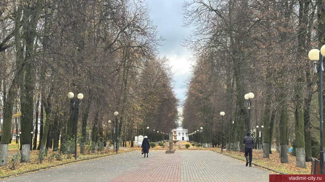    Администрация города Владимира