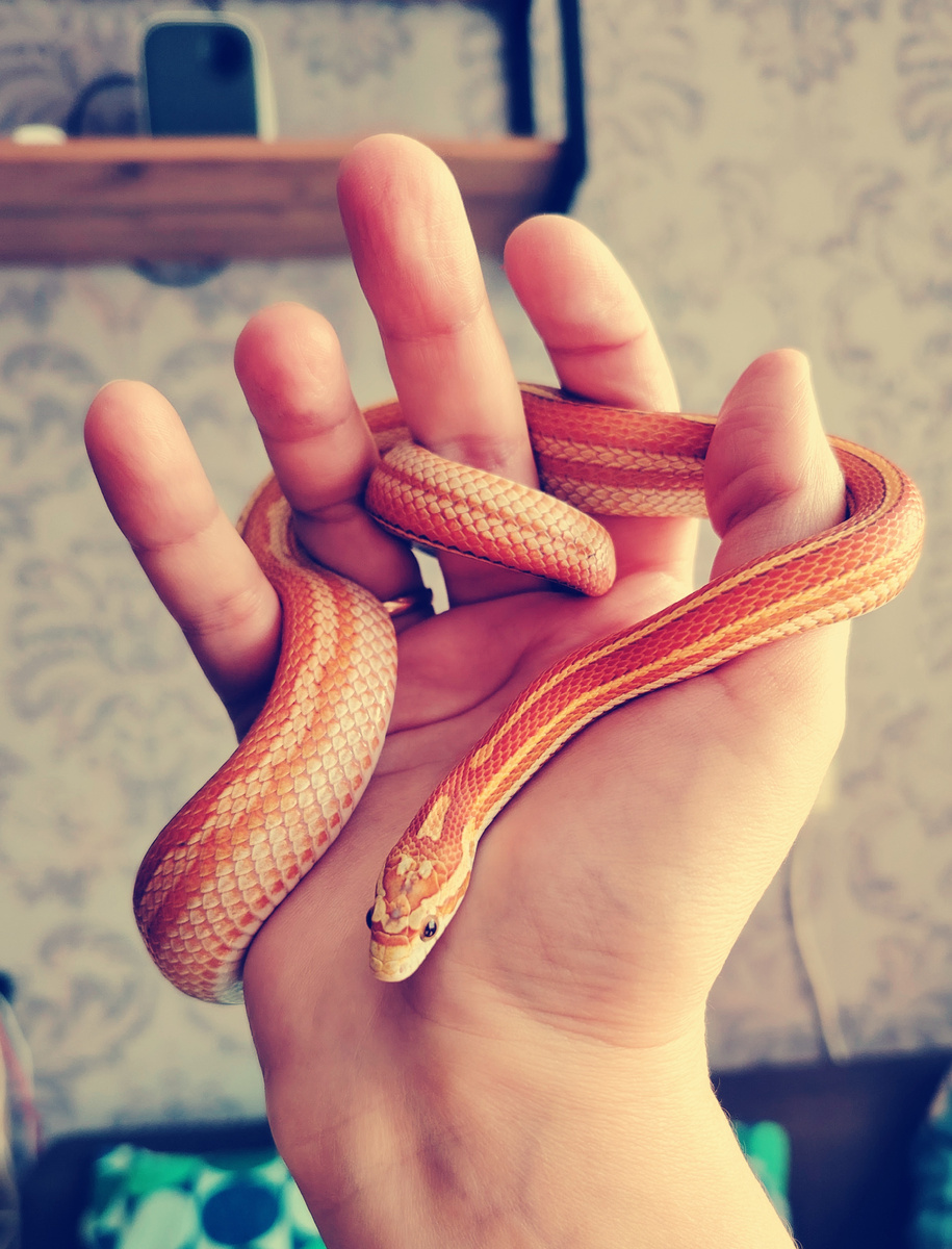 Здесь Настя ещё малышка, ей меньше года. Сейчас - полтора. 