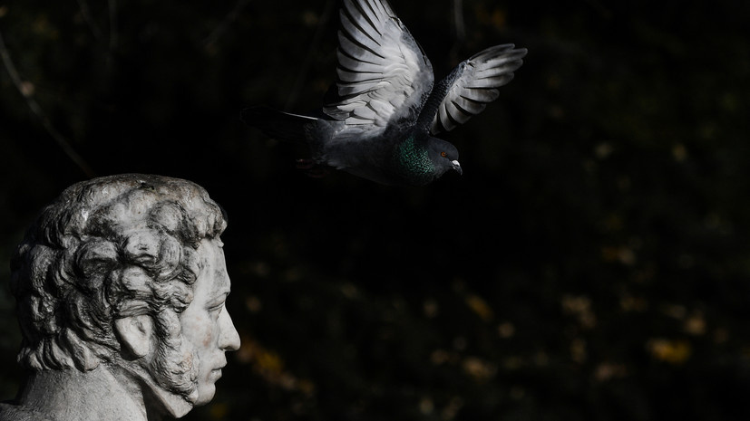   РИА Новости Владимир Астапкович