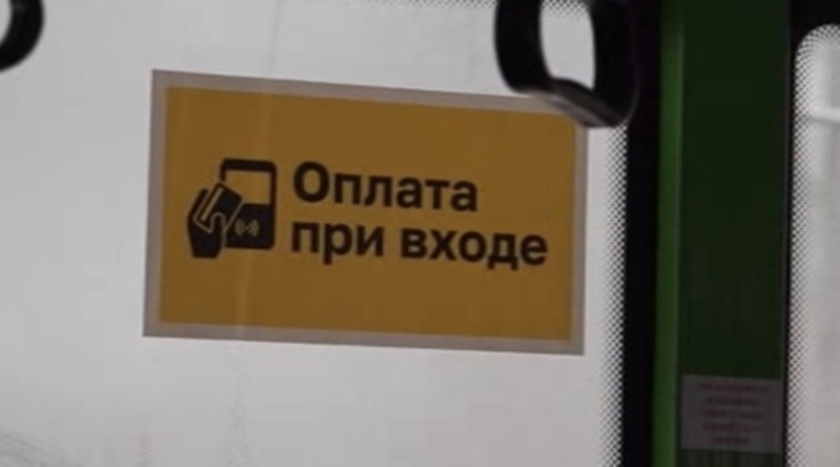   В Курской области "плодятся зайцы"
