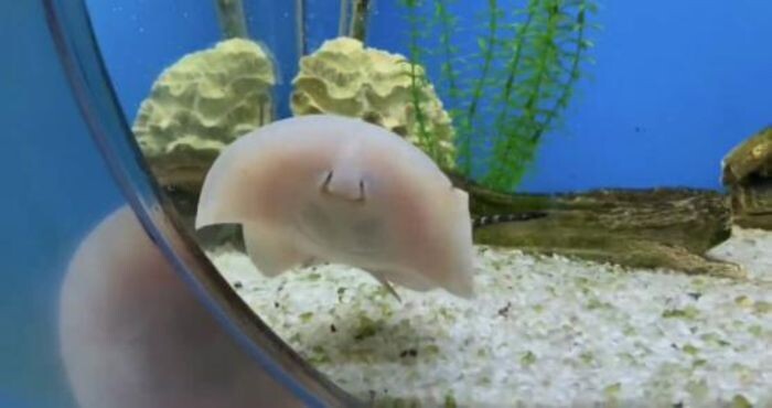 Источник фото: Телеграм-канал ростовского зоопарка