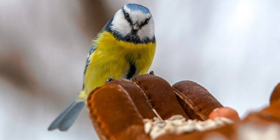 Фото: Москва 24/Лидия Широнина 