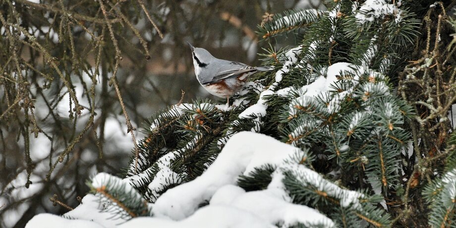Фото: Москва 24/Юлия Иванко 