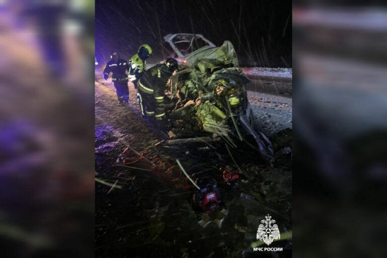    В Новосергиевском районе в жутком ДТП с фурой погибли 2 человека, еще двое получили травмы Кристина Просвиркина