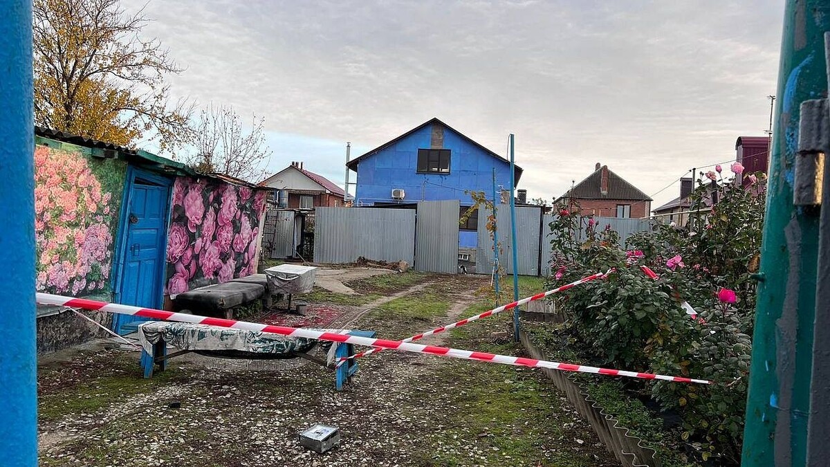    Фото: t.me/sergeyi_les