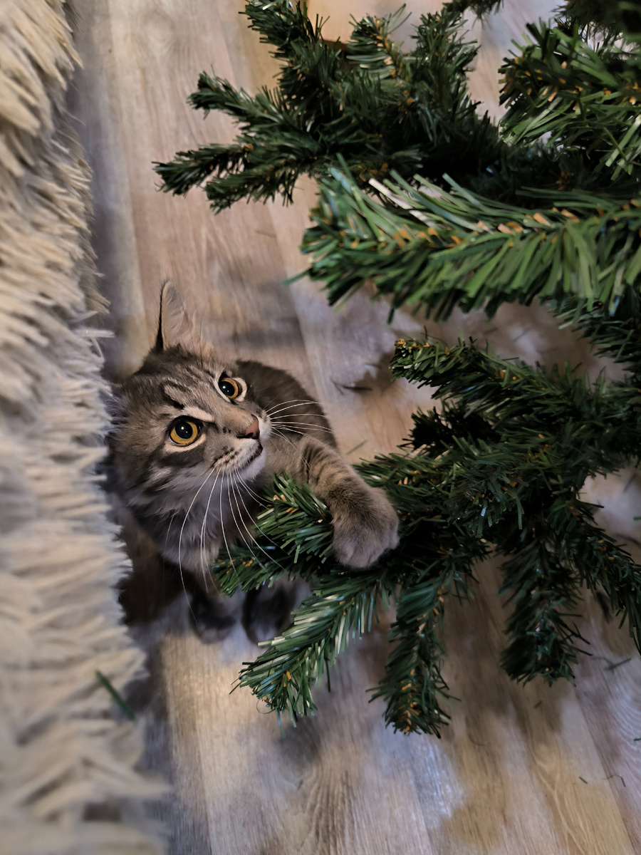 Всё фотографии в статье авторские. 