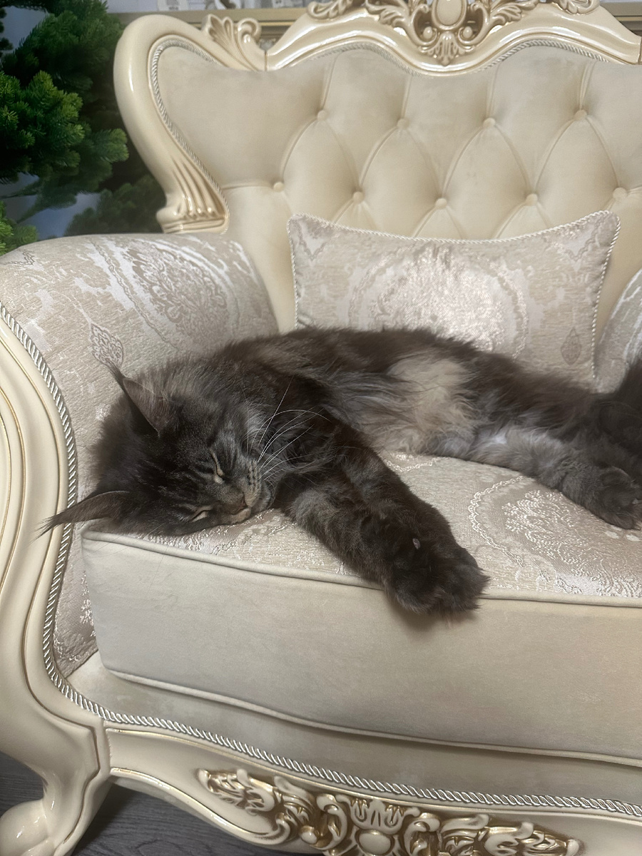 Никифор Шереми