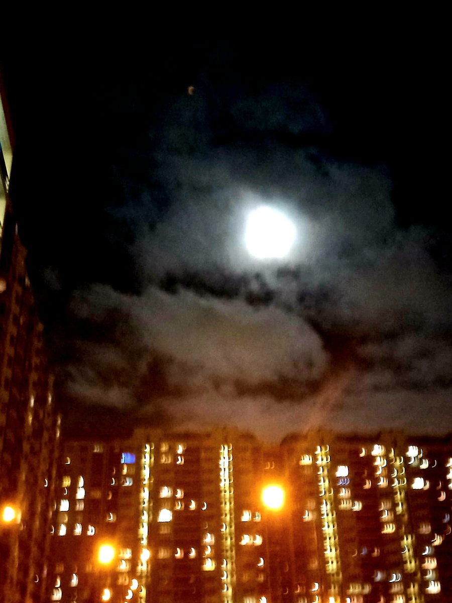 Полнолуние. Автор фото - Татьяна Федотова