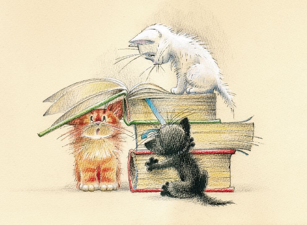 Источник: сеть Интернет