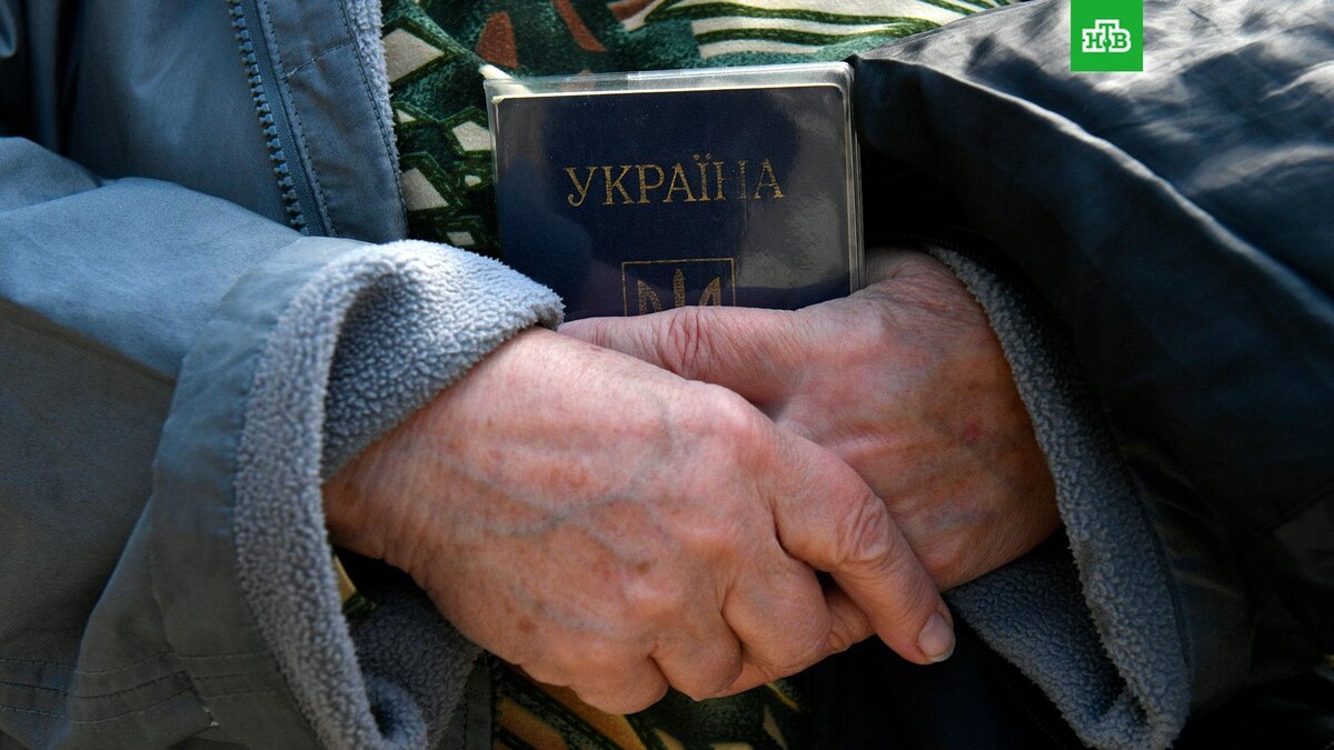    Фото: РИА Новости © 2024, Константин Михальчевский