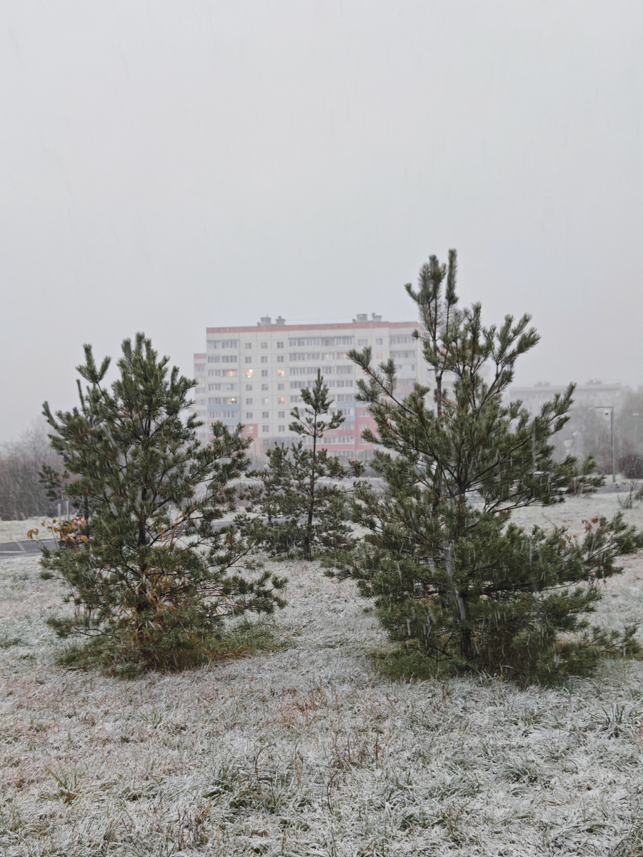 Снова выпал снег и быстро растаял