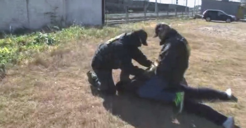    Продолжается отлов украинских диверсантов и шпионов, ряды которых не редеют