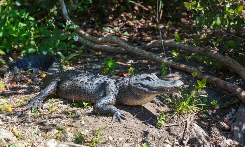    Фото freepik.com