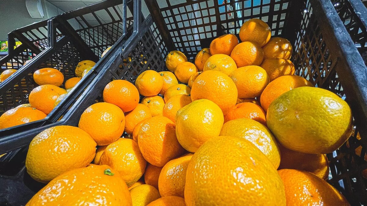     Источник: 1MI