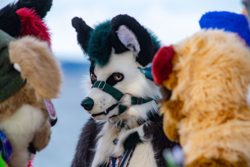 ФОТО: © STEFAN SAUER/DPA/GLOBAL LOOK PRESS