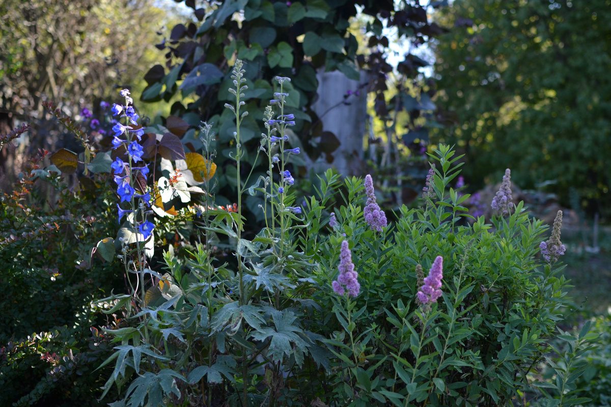 Галерея, листайте