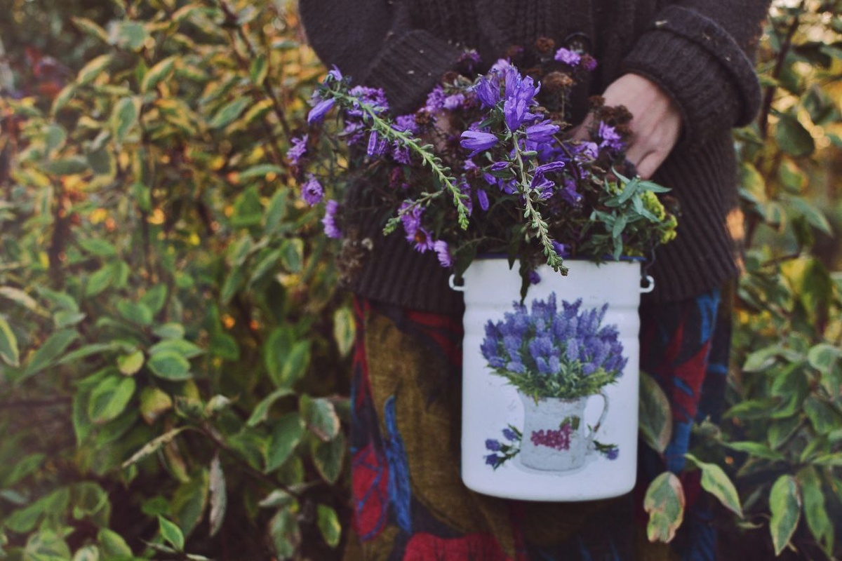 фото автора, как и все остальные