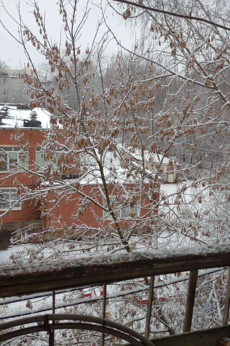 личное  фото