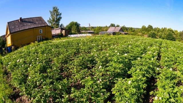 Фото с pinterest.com