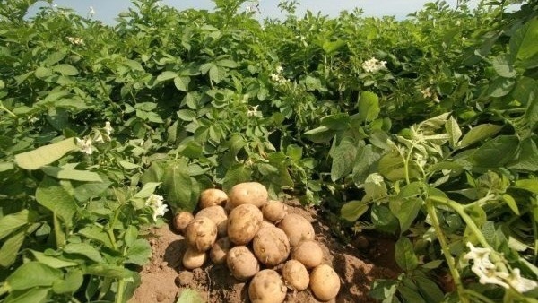 Фото с pinterest.com