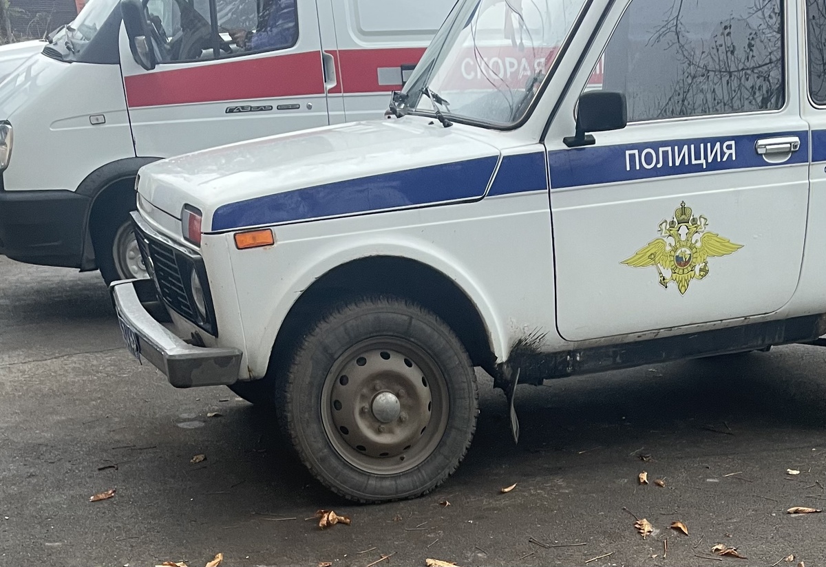 Вот такие гости у меня вчера были, запечатлела на память 