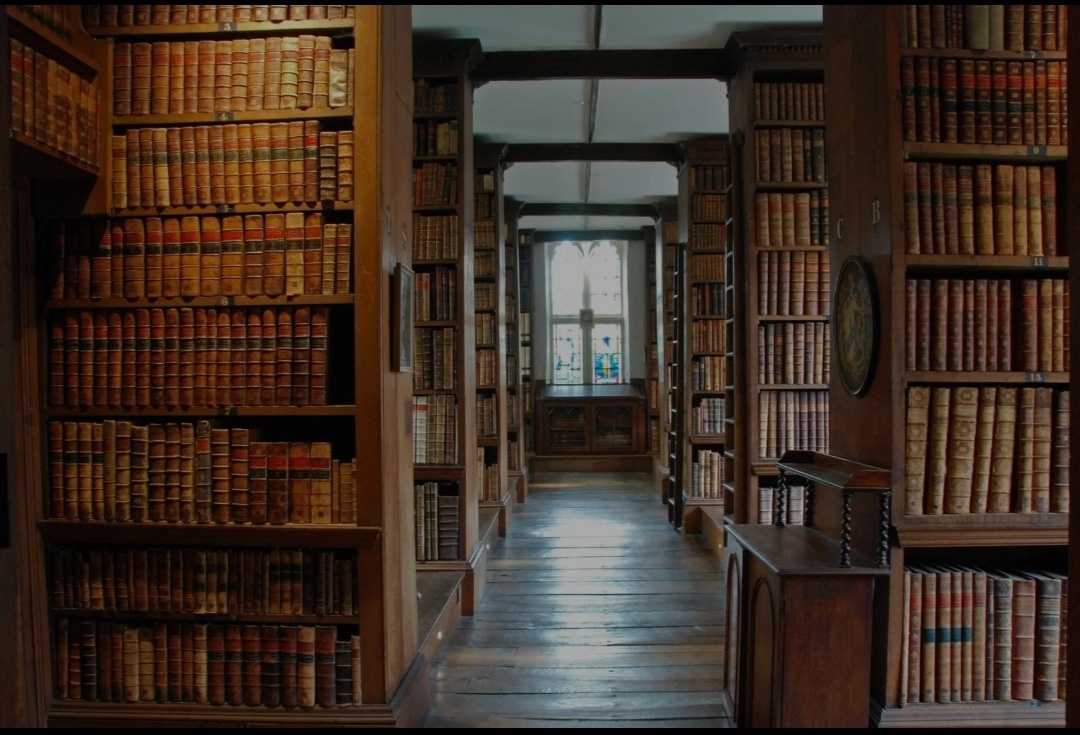 Библиотека, фото из свободных источников 