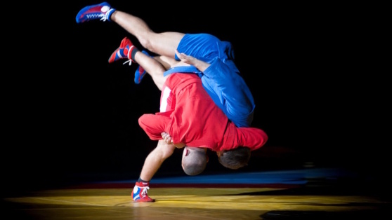    Какой сегодня праздник: 16 ноября – День самбо в России Роман Захаров