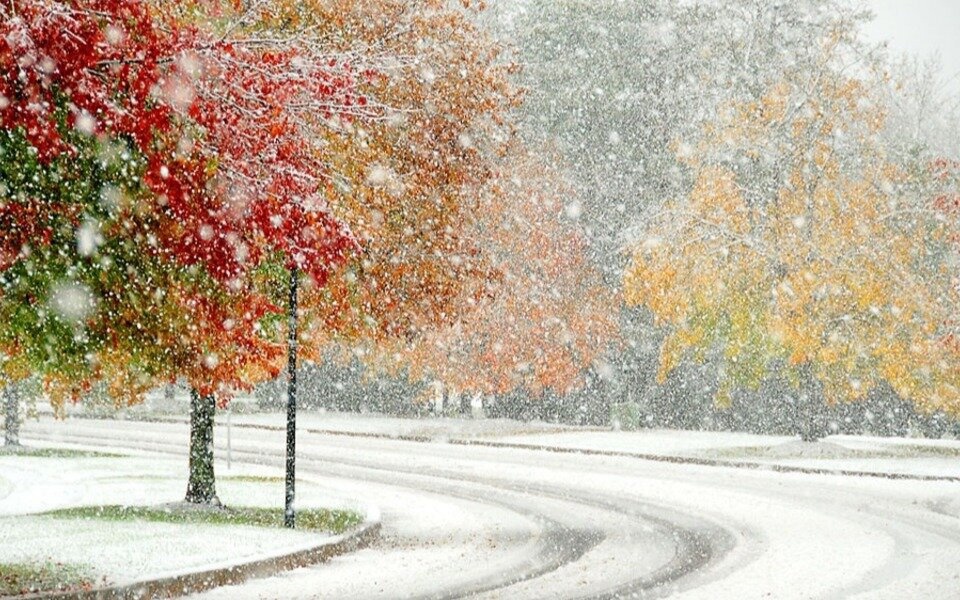 Изображение из открытых источников