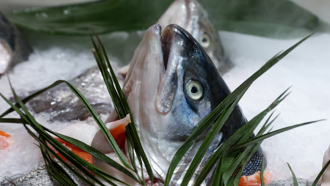    Фото: Shatokhina Natalia/Globallookpress