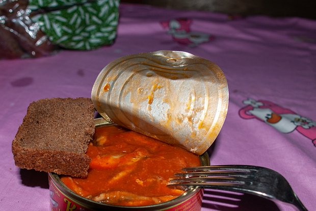 Фото: Svetlana Vozmilova / Global Look Press 
