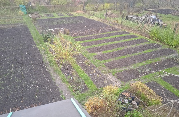 Видно, где обширные зоны обработки "Кротом", а где "гряды особого режима" (справа). Дело накануне зимы, DDE здесь не использовался, его время придёт весной.