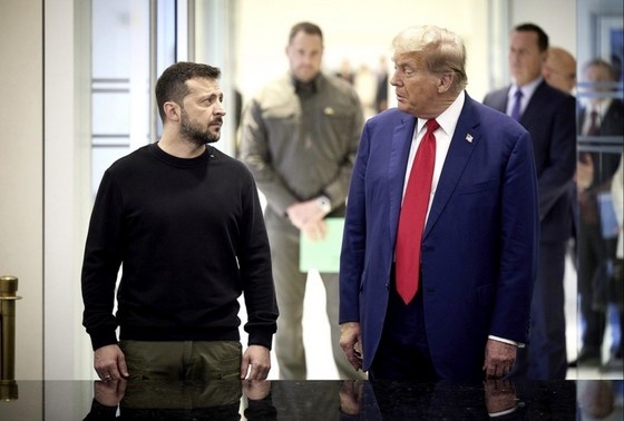    Владимир Зеленский и Дональд Трамп