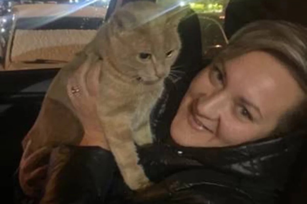    Украденного школьницами кота Лучика нашли на парковке в Москве