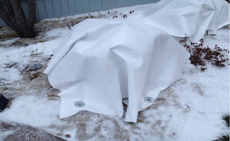 Фото взято из открытых источников