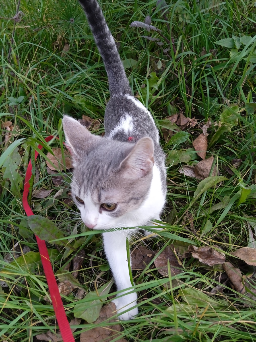 Наконец-то! Столько вокруг всего интересного и неизвестного