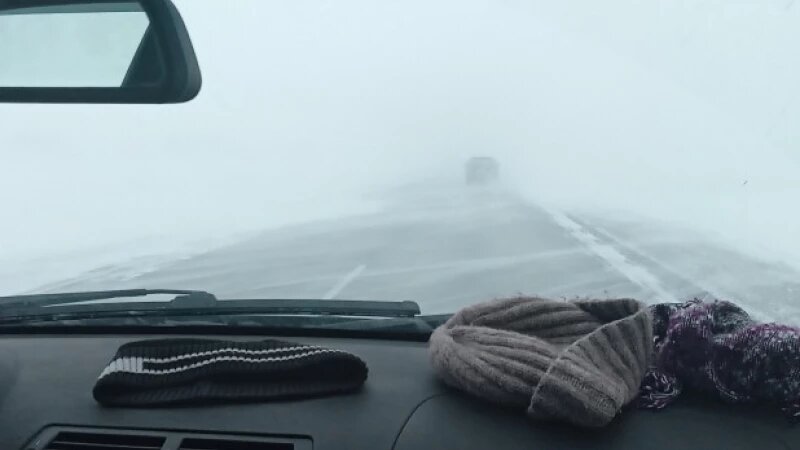     Метель в Алтайском крае. vk.com