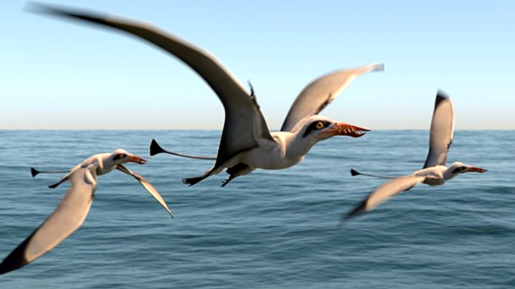 На хвосте у рамфоринхов была забавная кисточка.