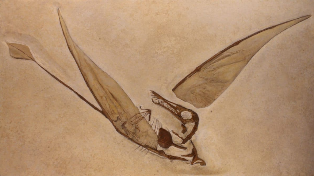 Некоторые из них прекрасно сохранились.