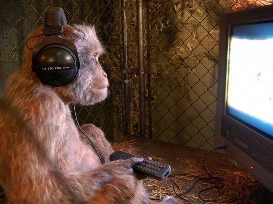 Сотрудники "Ростелеком" ищут причины замедления YouTube. 2024 год. Фотография в цвете.