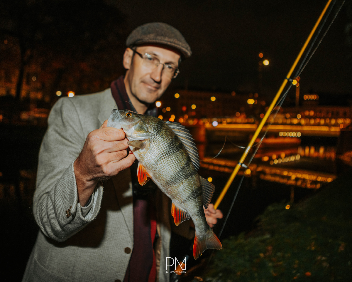 А это отличный шведский окунь из Готенбурга