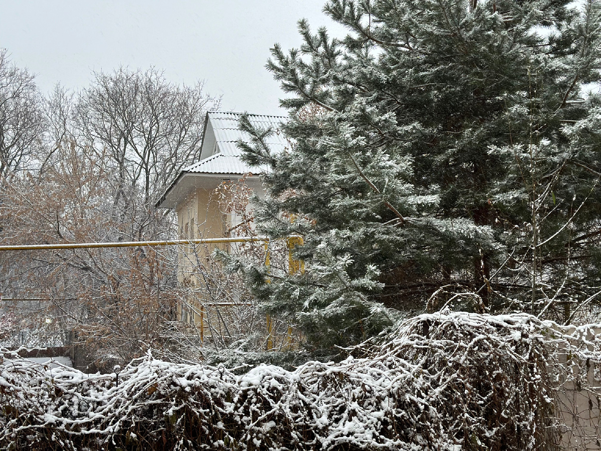 Снова снежно