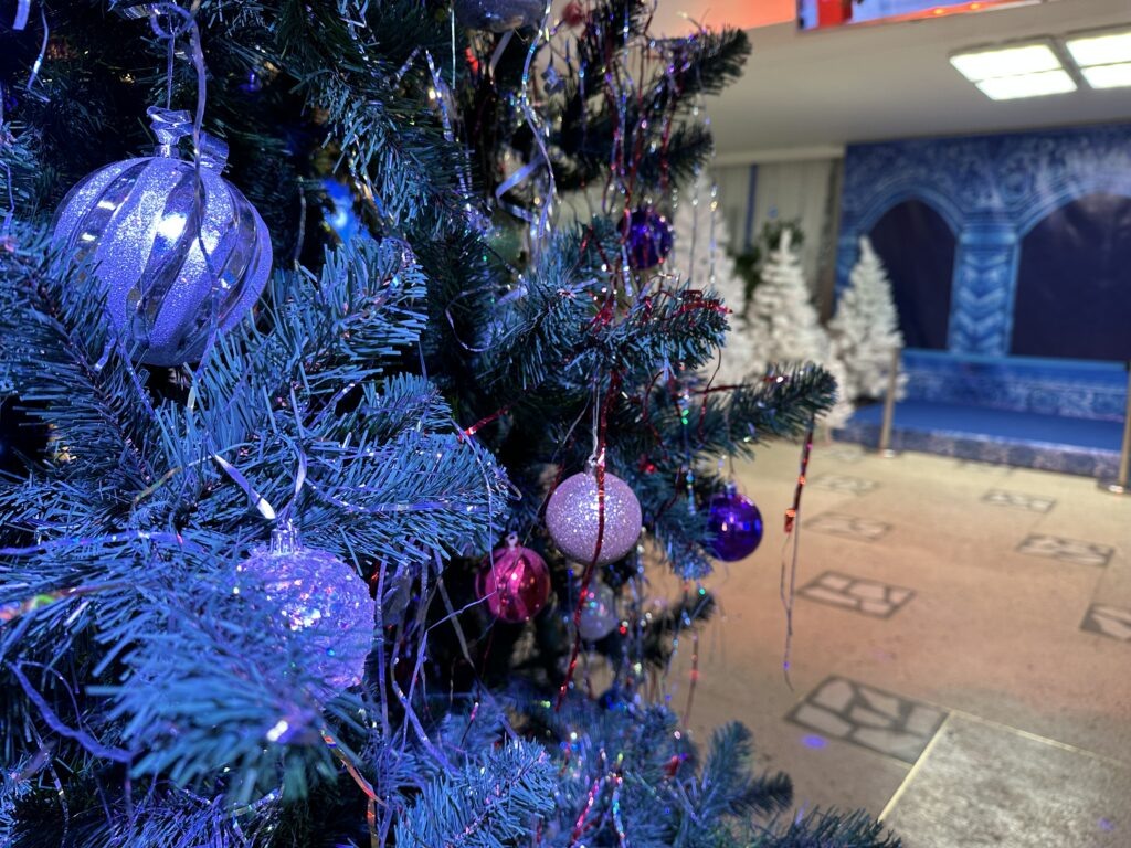    Фото: В курсе.ру Катерина Заякина Алена Калашникова