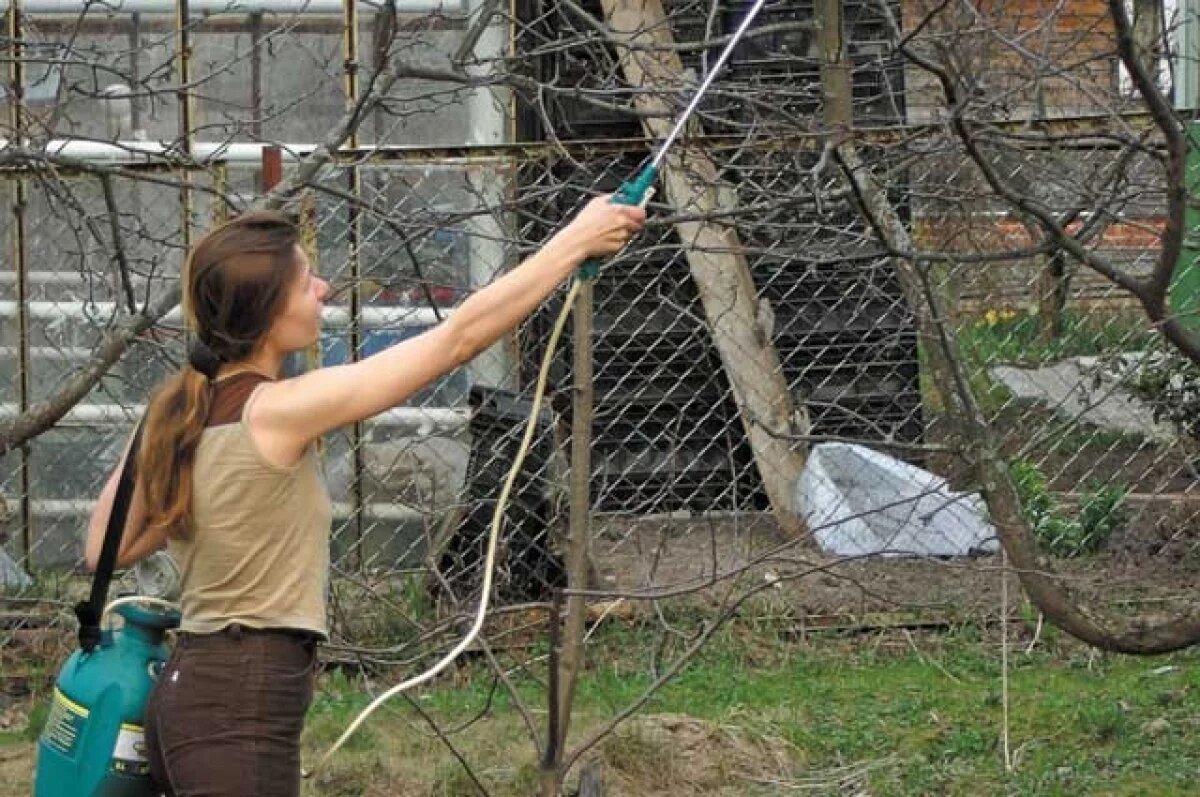    Пока самое популярное средство борьбы с вредителями - инсектициды.