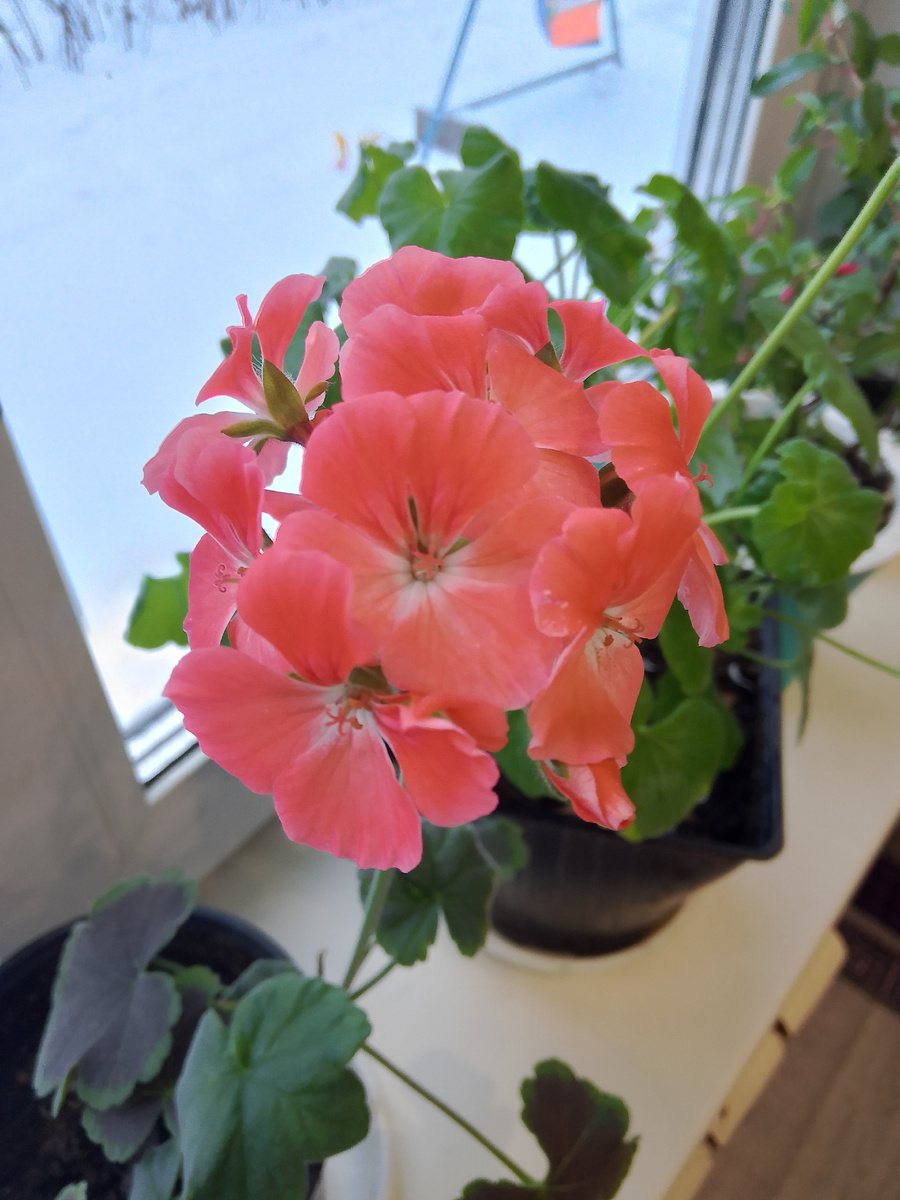 Красота да и только 