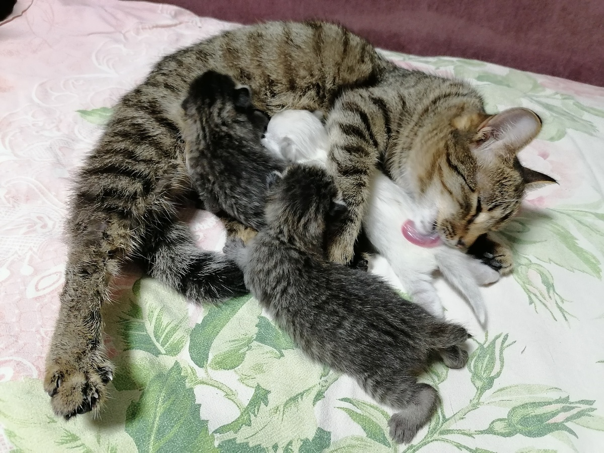 Фото автора