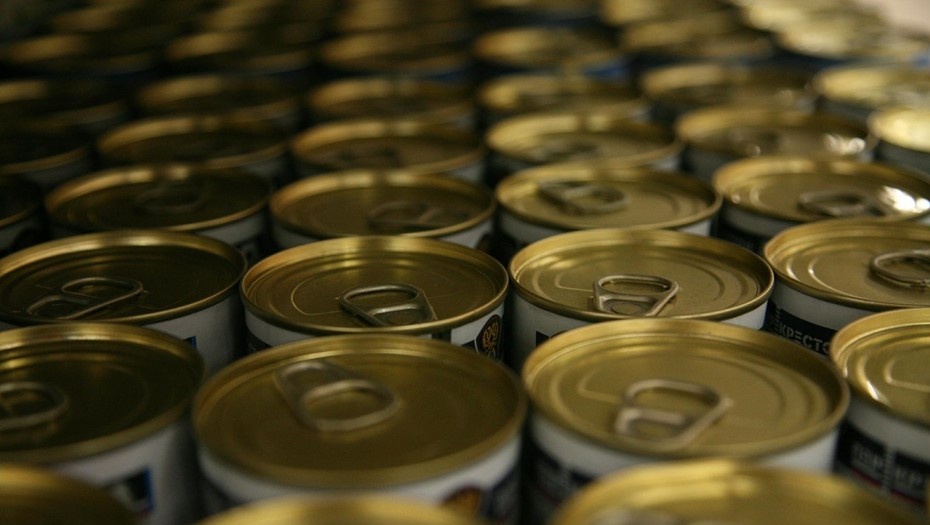    Автор фото: Байгушева Антонина