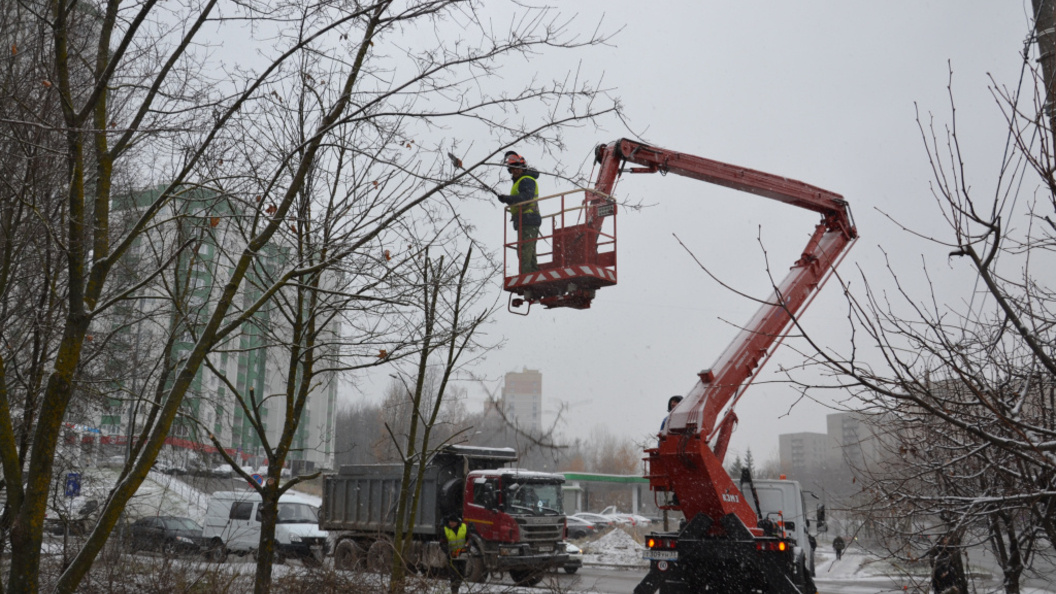    фото: администрация г. владимира.