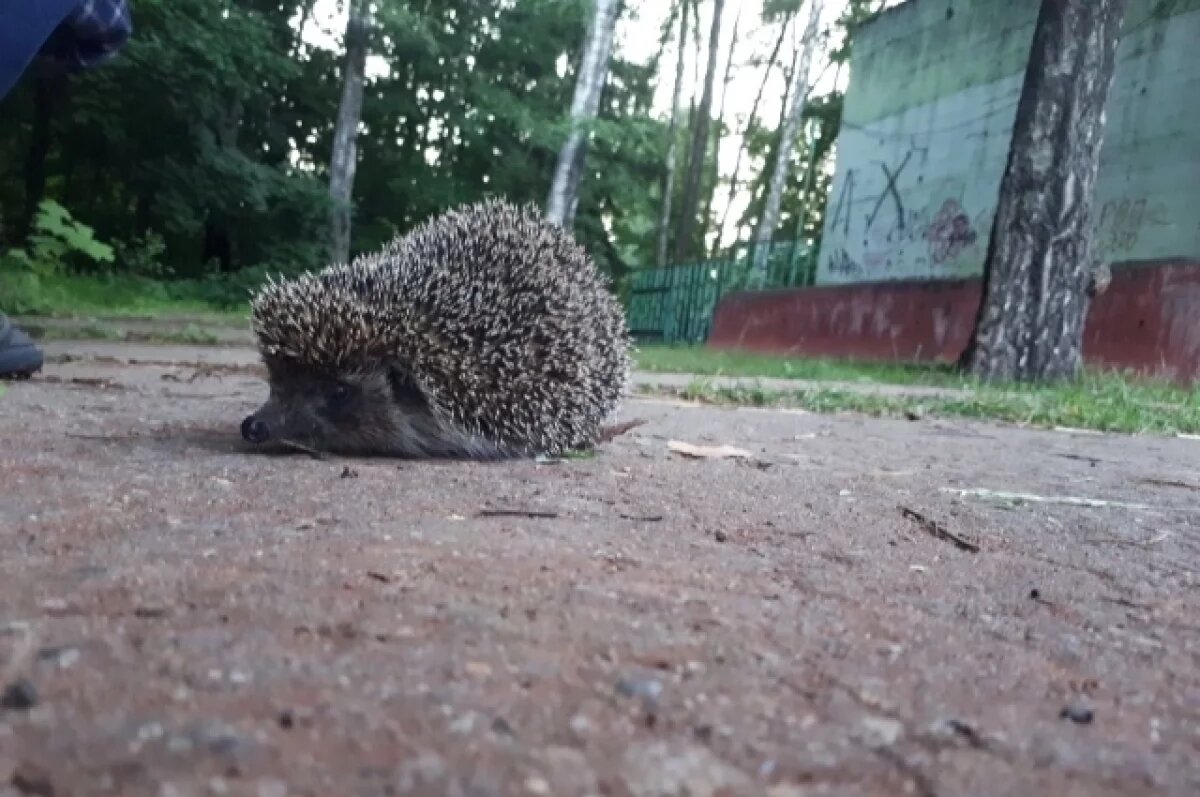    В руки не брать!