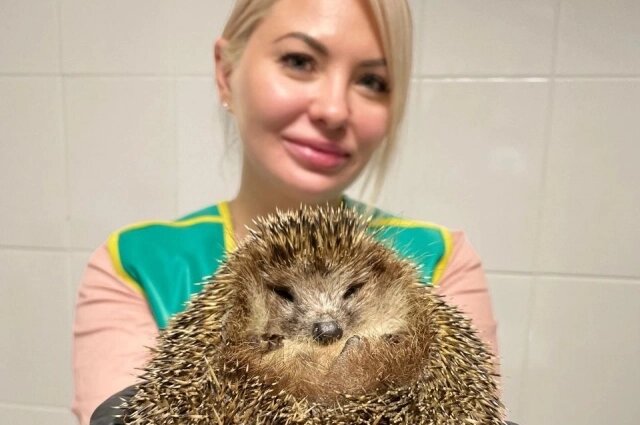    Ирина Чудинова с колючим пациентом. Фото: Личный архив/ Ирина Чудинова