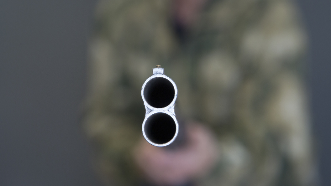    Фото: Nikolay Gyngazov/Global Look Press